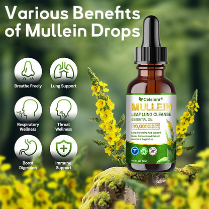 💖✅𝐂𝐀 𝐎𝐟𝐟𝐢𝐜𝐢𝐚𝐥 𝐒𝐭𝐨𝐫𝐞|𝐂𝐞𝐥𝐬𝐢𝐨𝐫𝐚® 𝐎𝐫𝐠𝐚𝐧𝐢𝐜 𝐌𝐮𝐥𝐥𝐞𝐢𝐧 𝐋𝐞𝐚𝐟 𝐋𝐮𝐧𝐠 𝐂𝐥𝐞𝐚𝐧𝐬𝐞 𝐄𝐬𝐬𝐞𝐧𝐭𝐢𝐚𝐥 𝐎𝐢𝐥 (💖Cough, wheezing, shortness of breath, sputum, stuffy nose, bronchitis, bronchitis, allergy symptoms, lung discomfort💝)