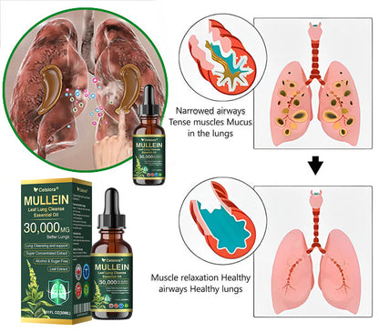 💖✅𝐂𝐀 𝐎𝐟𝐟𝐢𝐜𝐢𝐚𝐥 𝐒𝐭𝐨𝐫𝐞|𝐂𝐞𝐥𝐬𝐢𝐨𝐫𝐚® 𝐎𝐫𝐠𝐚𝐧𝐢𝐜 𝐌𝐮𝐥𝐥𝐞𝐢𝐧 𝐋𝐞𝐚𝐟 𝐋𝐮𝐧𝐠 𝐂𝐥𝐞𝐚𝐧𝐬𝐞 𝐄𝐬𝐬𝐞𝐧𝐭𝐢𝐚𝐥 𝐎𝐢𝐥 (🫁Cough, wheezing, shortness of breath, sputum, stuffy nose, bronchitis, bronchitis, allergy symptoms, lung discomfort💝)
