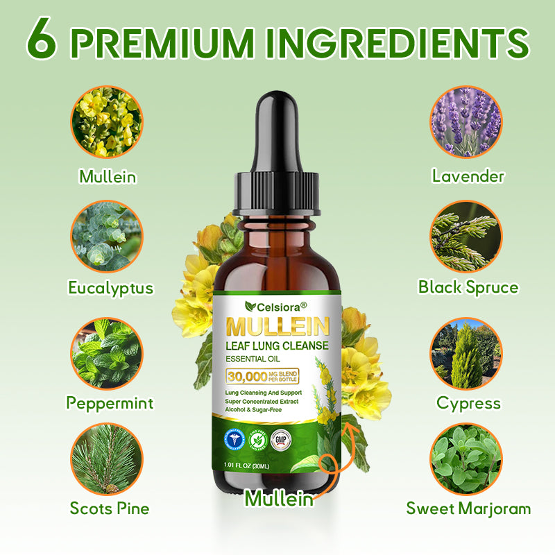 💖✅𝐂𝐀 𝐎𝐟𝐟𝐢𝐜𝐢𝐚𝐥 𝐒𝐭𝐨𝐫𝐞|𝐂𝐞𝐥𝐬𝐢𝐨𝐫𝐚® 𝐎𝐫𝐠𝐚𝐧𝐢𝐜 𝐌𝐮𝐥𝐥𝐞𝐢𝐧 𝐋𝐞𝐚𝐟 𝐋𝐮𝐧𝐠 𝐂𝐥𝐞𝐚𝐧𝐬𝐞 𝐄𝐬𝐬𝐞𝐧𝐭𝐢𝐚𝐥 𝐎𝐢𝐥 (💖Cough, wheezing, shortness of breath, sputum, stuffy nose, bronchitis, bronchitis, allergy symptoms, lung discomfort💝)