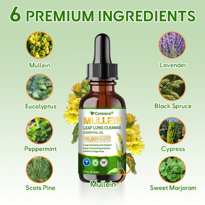 💖✅𝐂𝐀 𝐎𝐟𝐟𝐢𝐜𝐢𝐚𝐥 𝐒𝐭𝐨𝐫𝐞|𝐂𝐞𝐥𝐬𝐢𝐨𝐫𝐚® 𝐎𝐫𝐠𝐚𝐧𝐢𝐜 𝐌𝐮𝐥𝐥𝐞𝐢𝐧 𝐋𝐞𝐚𝐟 𝐋𝐮𝐧𝐠 𝐂𝐥𝐞𝐚𝐧𝐬𝐞 𝐄𝐬𝐬𝐞𝐧𝐭𝐢𝐚𝐥 𝐎𝐢𝐥 (💖Cough, wheezing, shortness of breath, sputum, stuffy nose, bronchitis, bronchitis, allergy symptoms, lung discomfort💝)