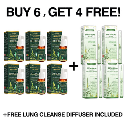 🫁✅CA Official Store:CareBreeze® Botanical Mullein Leaf Extract Lung Cleanse Spray（👨‍⚕️Directly acts on COPD, asthma, chronic bronchitis (CB), respiratory infections, lung cancer, sinusitis, and other conditions）