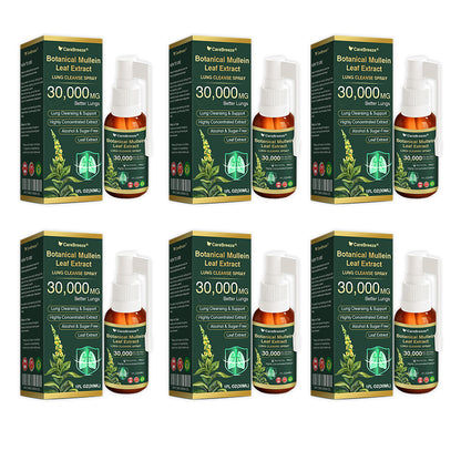 🌻✅CA Official Store:CareBreeze® Botanical Mullein Leaf Extract Lung Cleanse Spray（👨‍⚕️Directly acts on COPD, asthma, chronic bronchitis (CB), respiratory infections, lung cancer, sinusitis, and other conditions）