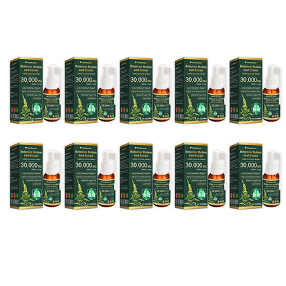🌻✅CA Official Store:CareBreeze® Botanical Mullein Leaf Extract Lung Cleanse Spray（👨‍⚕️Directly acts on COPD, asthma, chronic bronchitis (CB), respiratory infections, lung cancer, sinusitis, and other conditions）