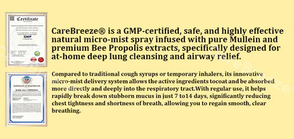 🐝✅🇨🇦 CareBreeze® 6-in-1 Herbal BeePropolis Lung Cleanse Spray