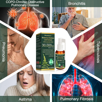 🌻✅CA Official Store:CareBreeze® Botanical Mullein Leaf Extract Lung Cleanse Spray（👨‍⚕️Directly acts on COPD, asthma, chronic bronchitis (CB), respiratory infections, lung cancer, sinusitis, and other conditions）