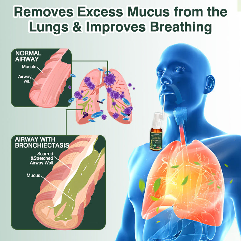 🌻✅CA Official Store:CareBreeze® Botanical Mullein Leaf Extract Lung Cleanse Spray（👨‍⚕️Directly acts on COPD, asthma, chronic bronchitis (CB), respiratory infections, lung cancer, sinusitis, and other conditions）