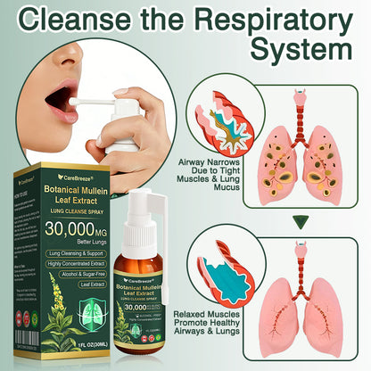🌻✅CA Official Store:CareBreeze® Botanical Mullein Leaf Extract Lung Cleanse Spray（👨‍⚕️Directly acts on COPD, asthma, chronic bronchitis (CB), respiratory infections, lung cancer, sinusitis, and other conditions）