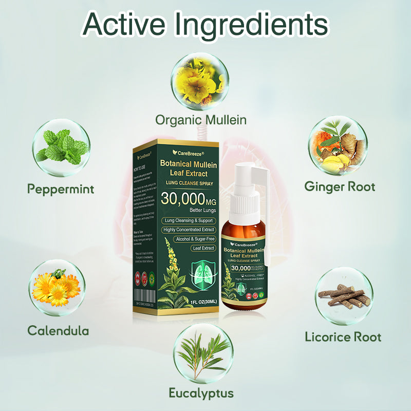 🌻✅CA Official Store:CareBreeze® Botanical Mullein Leaf Extract Lung Cleanse Spray（👨‍⚕️Directly acts on COPD, asthma, chronic bronchitis (CB), respiratory infections, lung cancer, sinusitis, and other conditions）