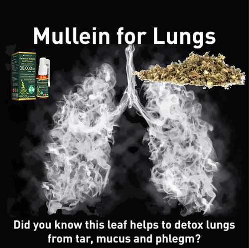 🔆✅CA Official Store:CareBreeze® Botanical Mullein Leaf Extract Lung Cleanse Spray（👨‍⚕️Directly acts on COPD, asthma, chronic bronchitis (CB), respiratory infections, lung cancer, sinusitis, and other conditions）